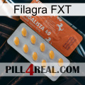 Filagra FXT 43